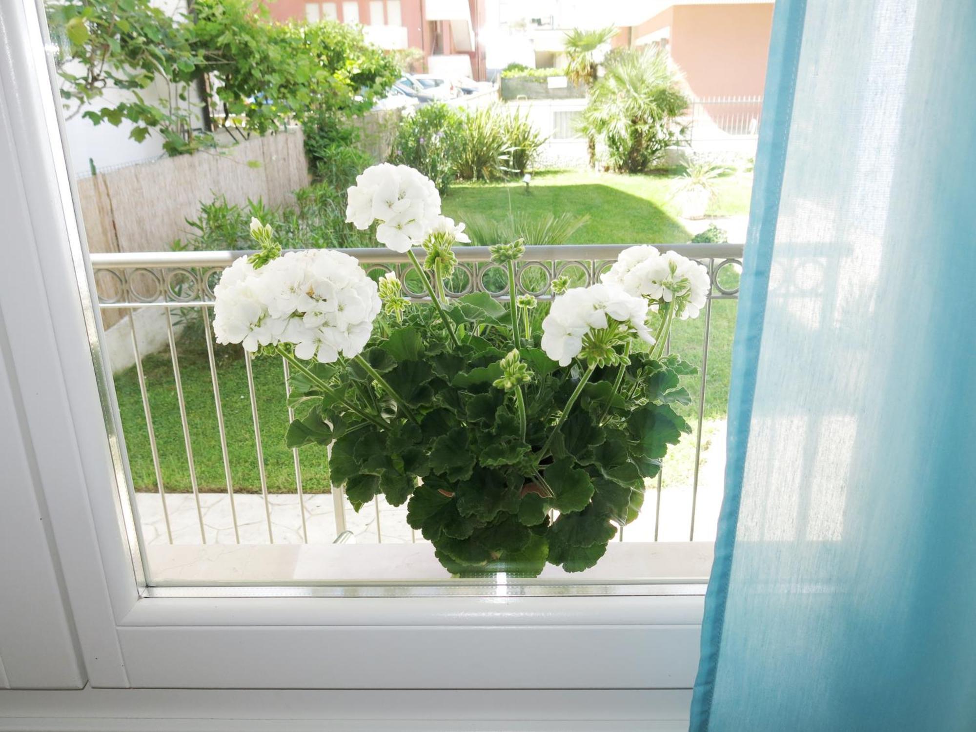 Residence Amarein Caorle Exterior photo