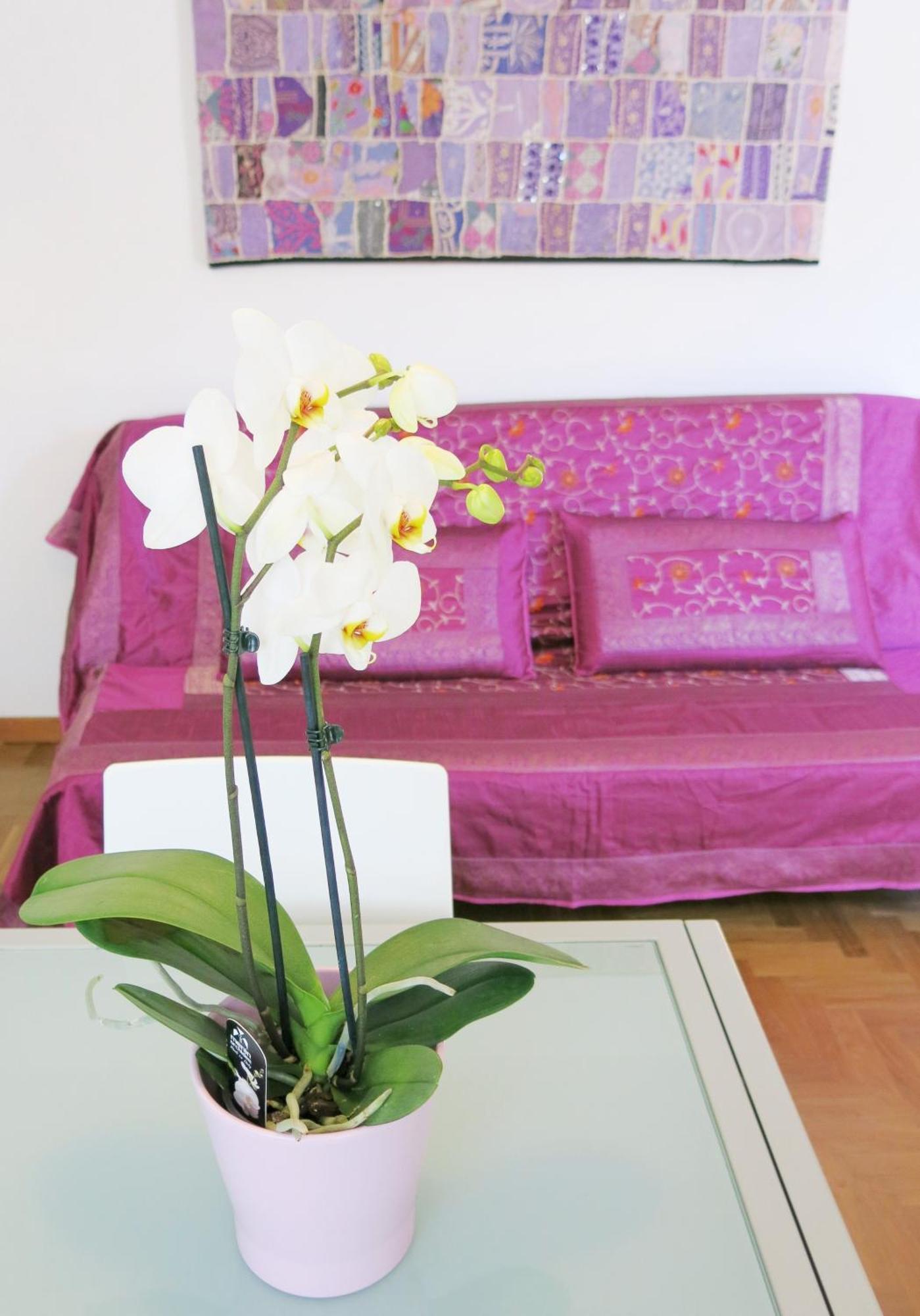 Residence Amarein Caorle Exterior photo